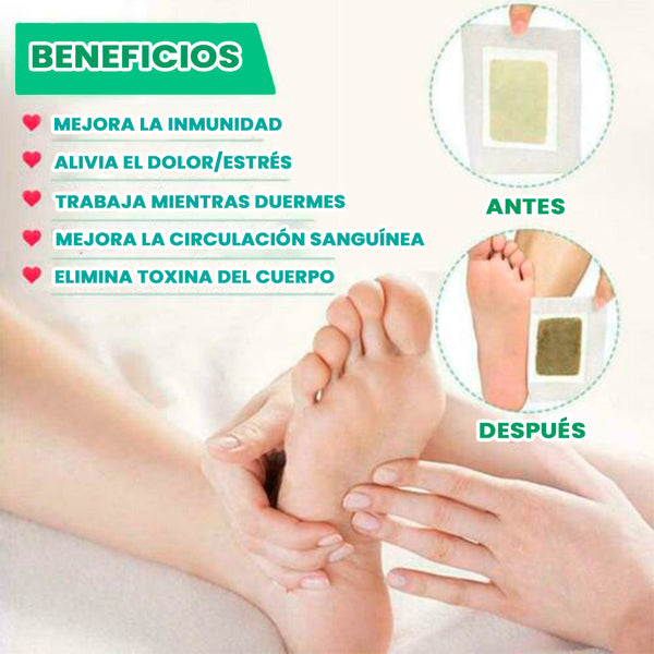 Parches Detoxificantes Kinoki