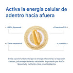 Selerb Suplemento NAD Con Resveratrol